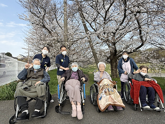 毎年恒例のお花見