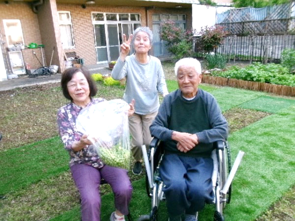 梅の実いっぱい♪