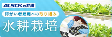 ＡＬＳＯＫ介護の障がい者雇用 水耕栽培